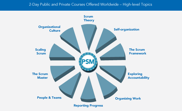 PSM-Overview-2013.png